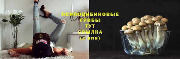 первитин Алексеевка